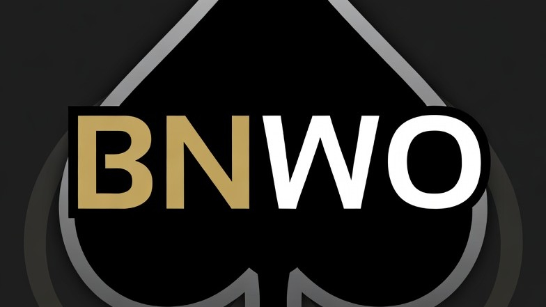 BNWO Hub